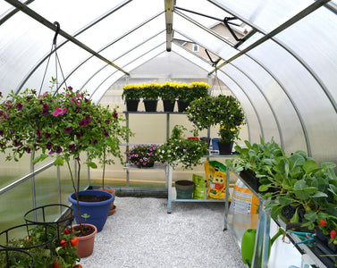 Palram - Canopia | Bella Greenhouse Greenhouses Palram - Canopia 