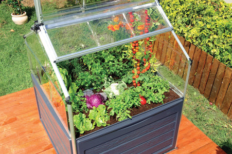 Palram - Canopia | Plant Inn™ 4' x 4' Raised Garden Bed Garden Palram - Canopia 