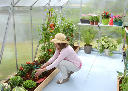 Palram - Canopia | Essence Greenhouse Greenhouses Palram - Canopia 
