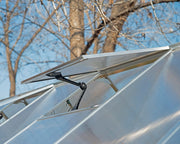 Image of Palram - Canopia | Essence Greenhouse Greenhouses Palram - Canopia 