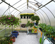 Image of Palram - Canopia | Bella Greenhouse Greenhouses Palram - Canopia 