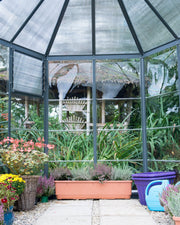 Image of Palram - Canopia | Oasis Hex Greenhouse Greenhouses Palram - Canopia 