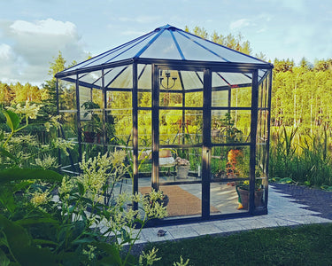 Palram - Canopia | Oasis Hex Greenhouse Greenhouses Palram - Canopia 