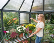 Image of Palram - Canopia | Oasis Hex Greenhouse Greenhouses Palram - Canopia 