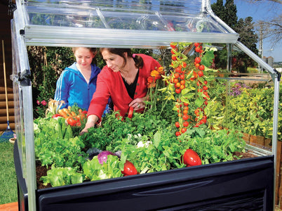 Palram - Canopia | Plant Inn™ 4' x 4' Raised Garden Bed Garden Palram - Canopia 