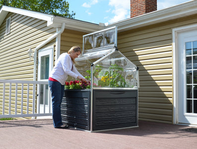 Palram - Canopia | Plant Inn™ 4' x 4' Raised Garden Bed Garden Palram - Canopia 